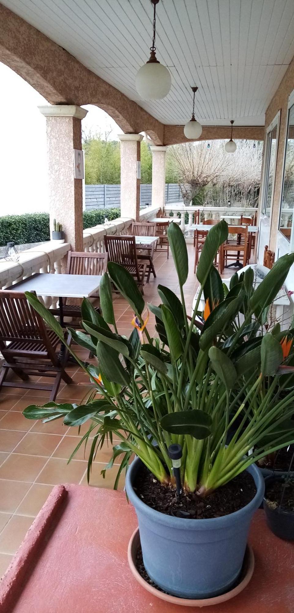 Hotel Le Grand Jardin Aujargues Exterior foto